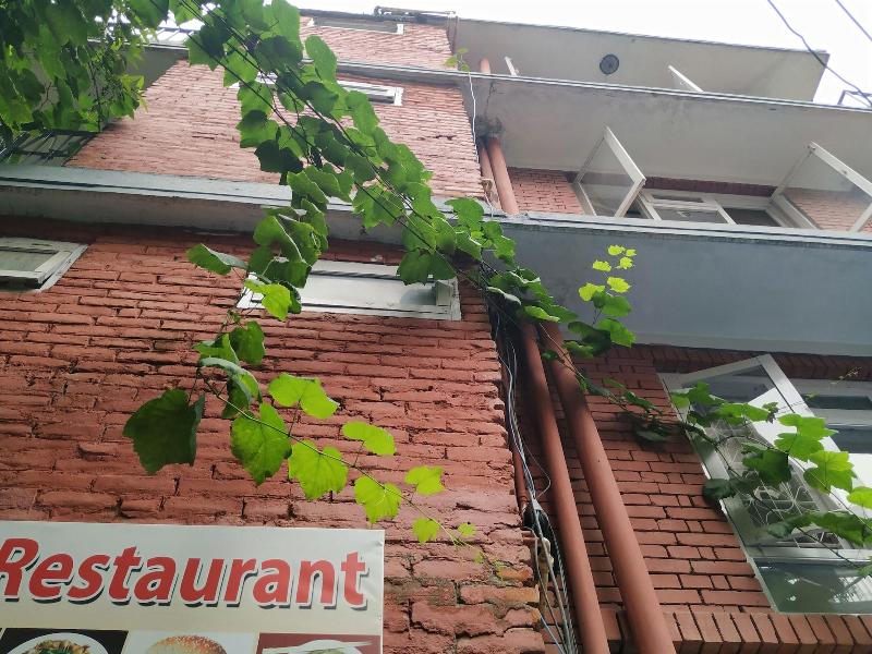 Beehive Hostel image