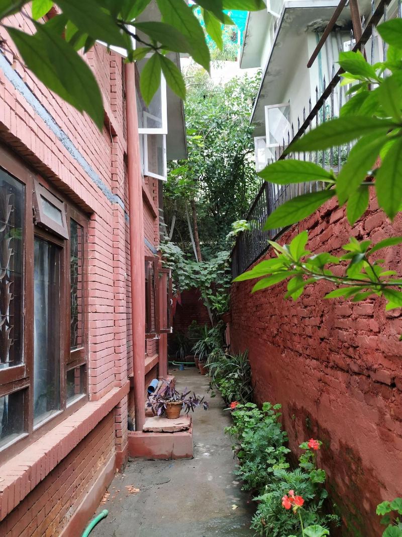 Beehive Hostel image
