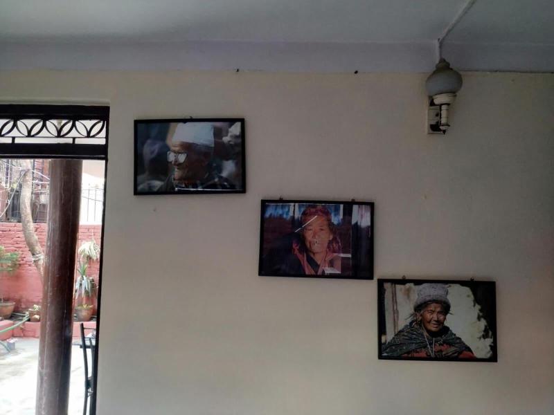 Beehive Hostel image
