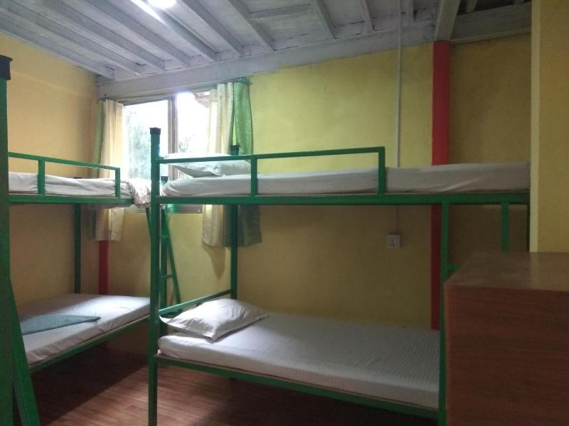 Beehive Hostel image