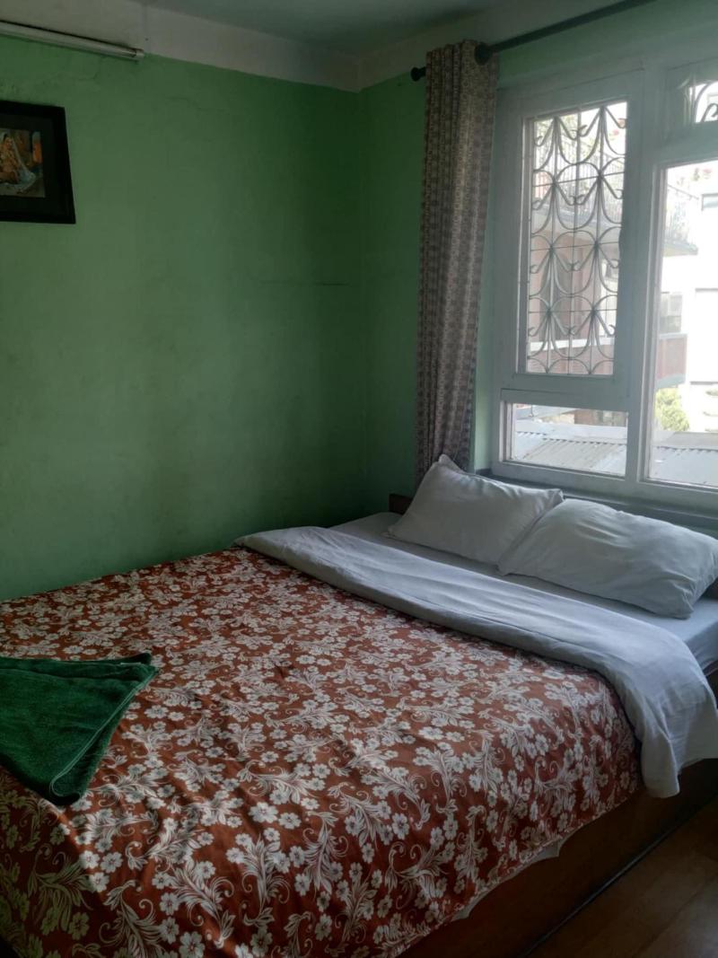 Beehive Hostel image