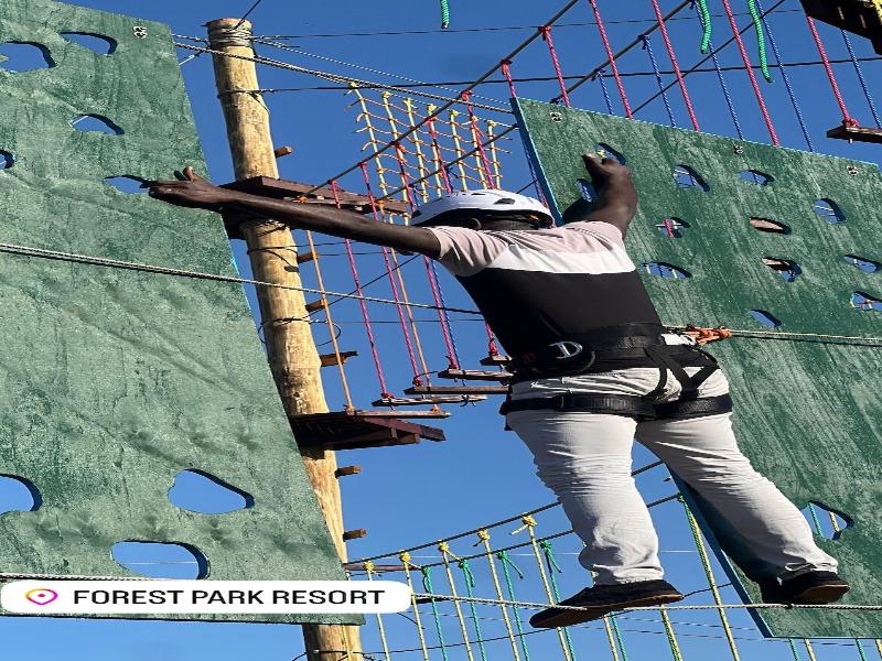 Forest Park Resort image
