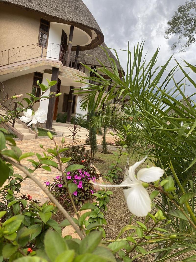 Forest Park Resort image