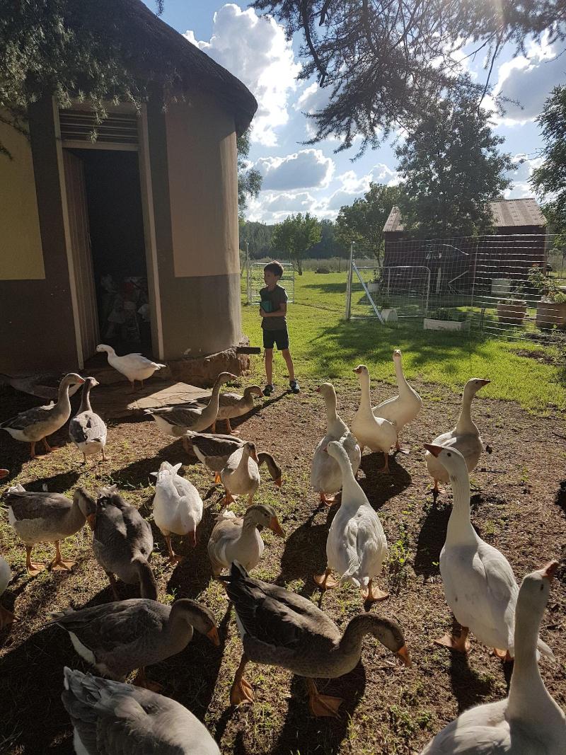 Stoneybrooke Farm image