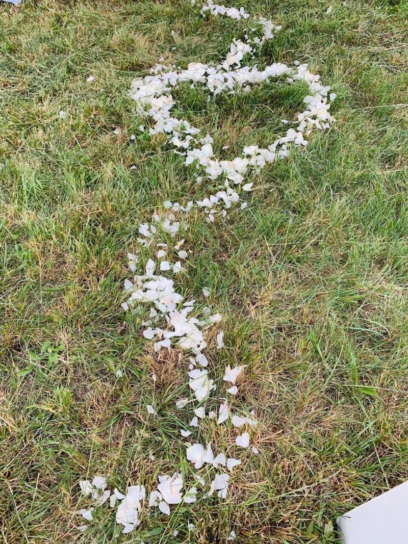 Stoneybrooke Farm image