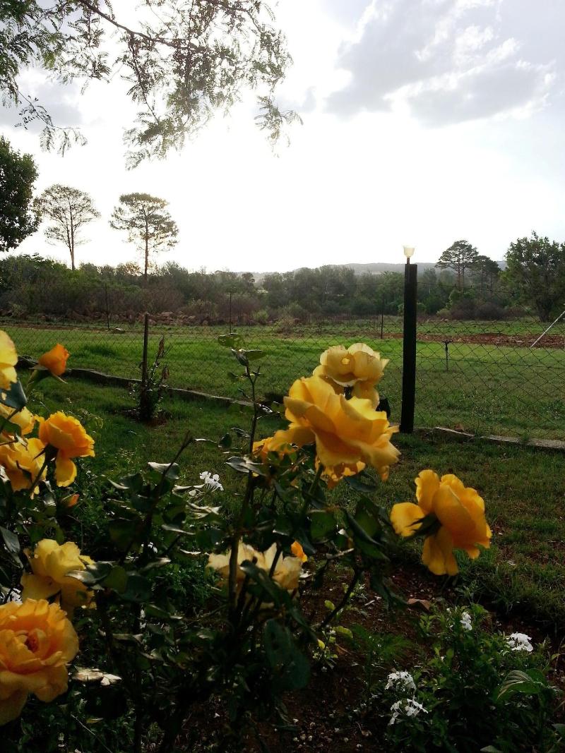 Stoneybrooke Farm image