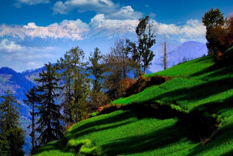 Banjara Retreat And Cottage Sojha image