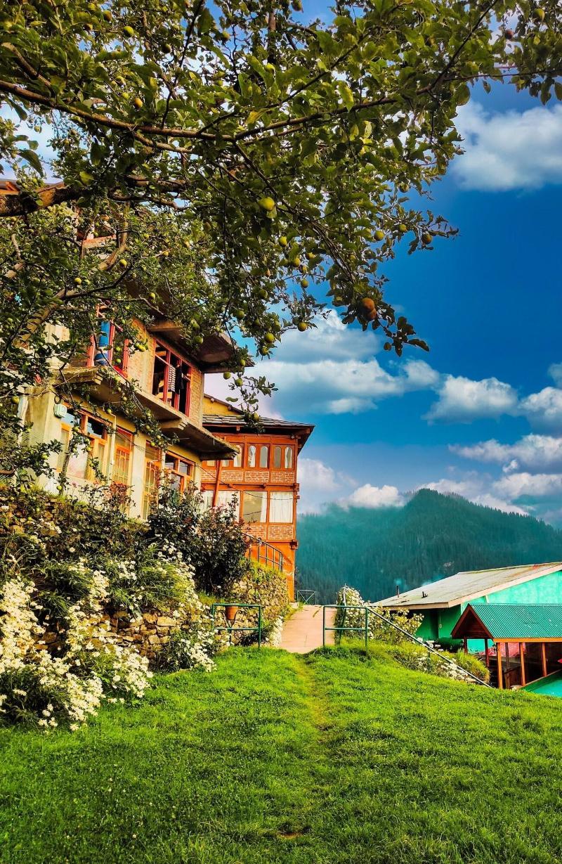 Banjara Retreat And Cottage Sojha image