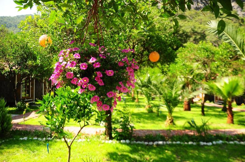 Likya Evleri Olympos - Adults Only