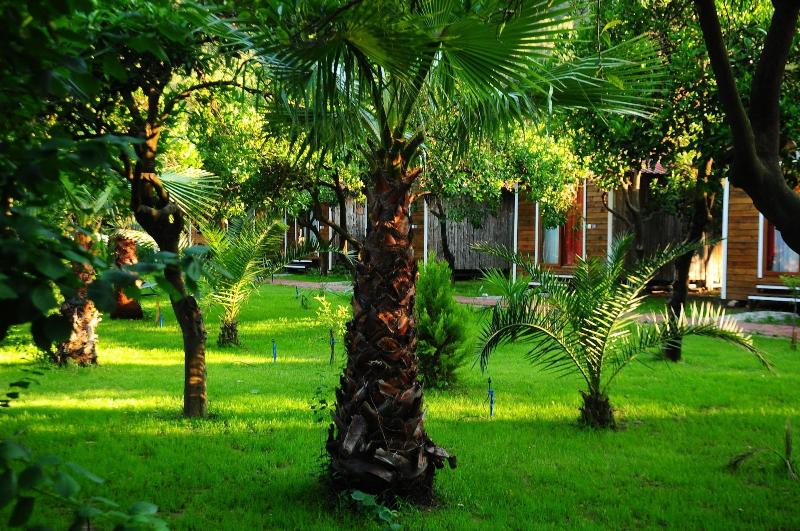 Likya Evleri Olympos - Adults Only