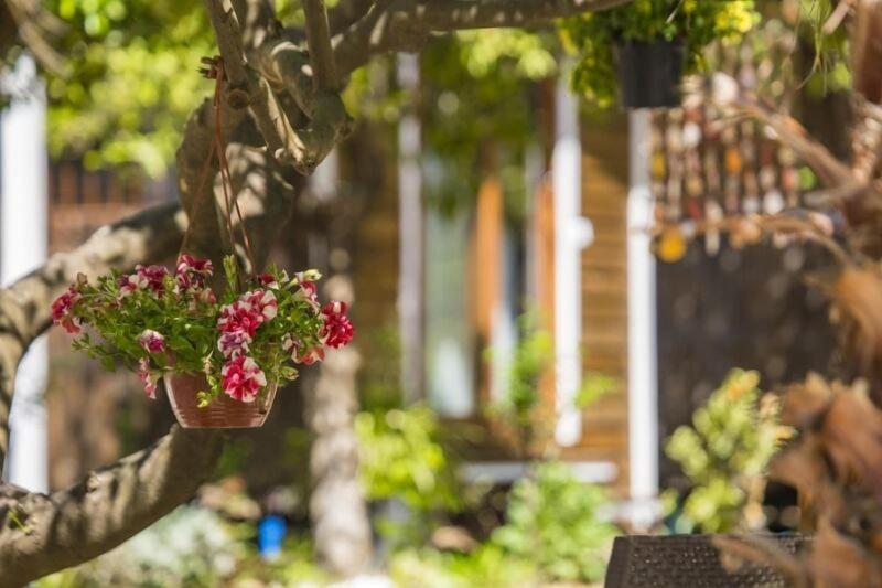 Likya Evleri Olympos - Adults Only