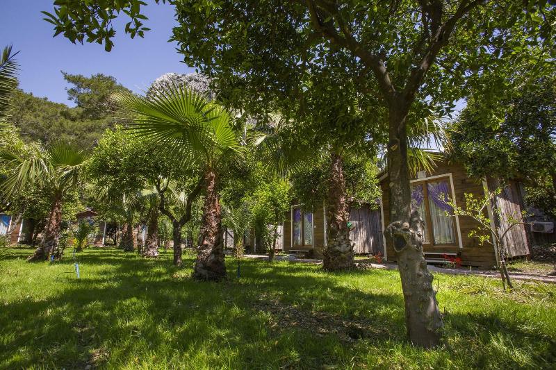 Likya Evleri Olympos - Adults Only — photo 13