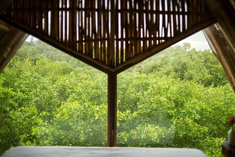 Mamasan Treehouses & Cabins image