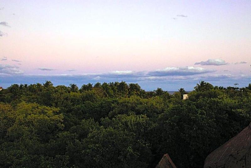 Mamasan Treehouses & Cabins image