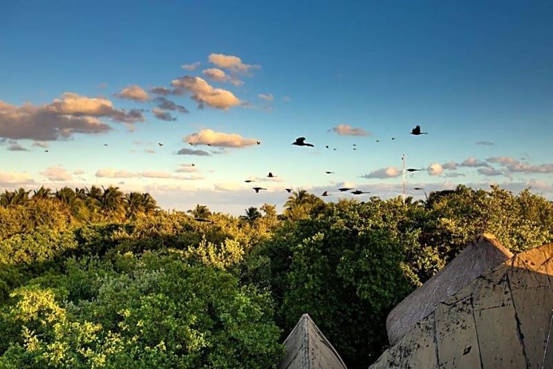Mamasan Treehouses & Cabins image
