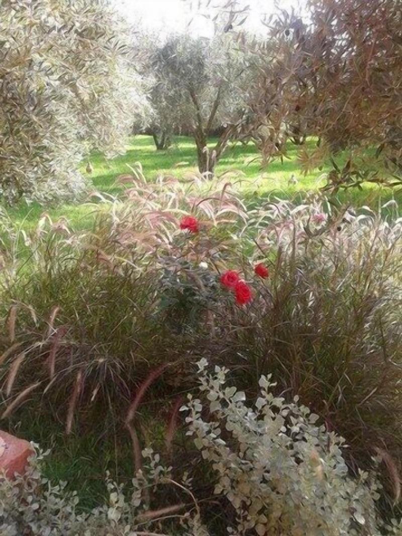 Riad Sidi Hicham image