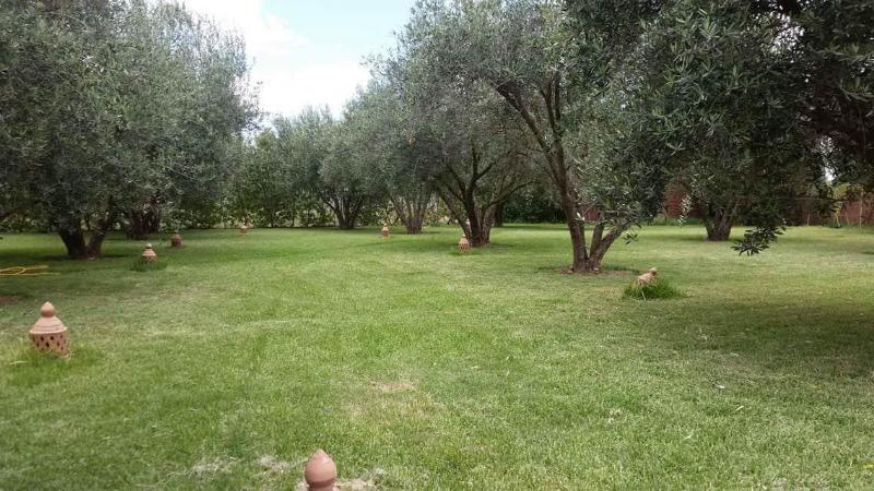 Riad Sidi Hicham image