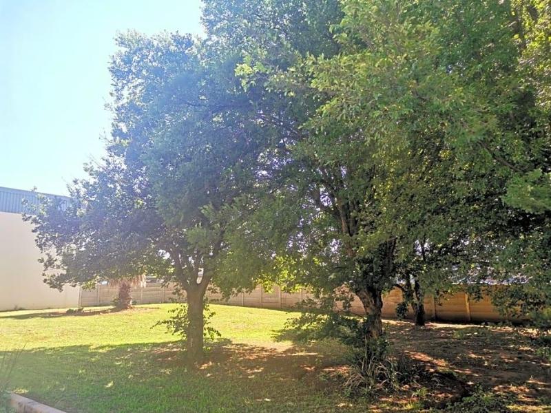Sun1 Alberton image