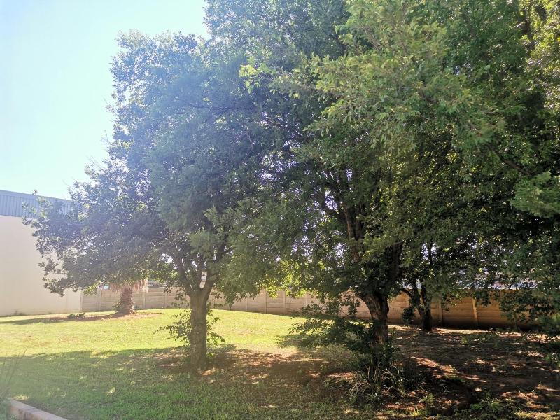 Sun1 Alberton image