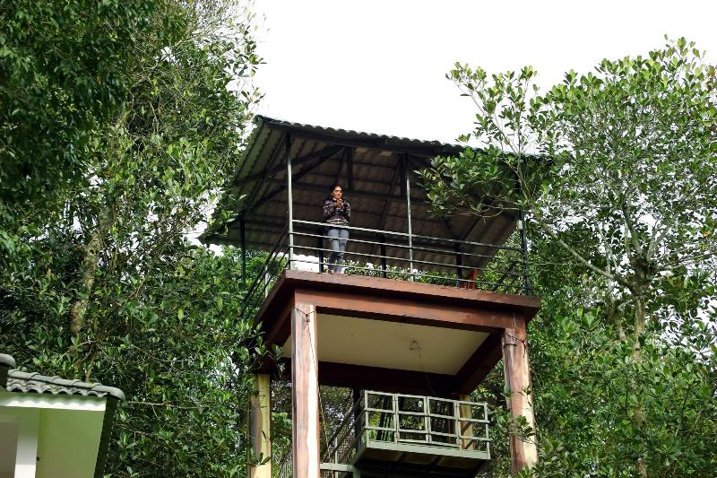 Wayanad Ranches Resorts — general view