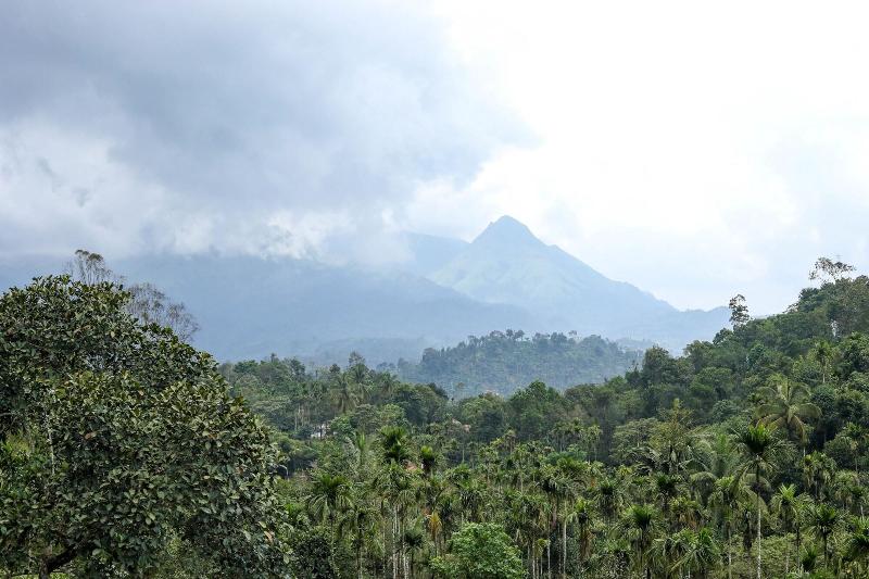 Wayanad Ranches Resorts — general view