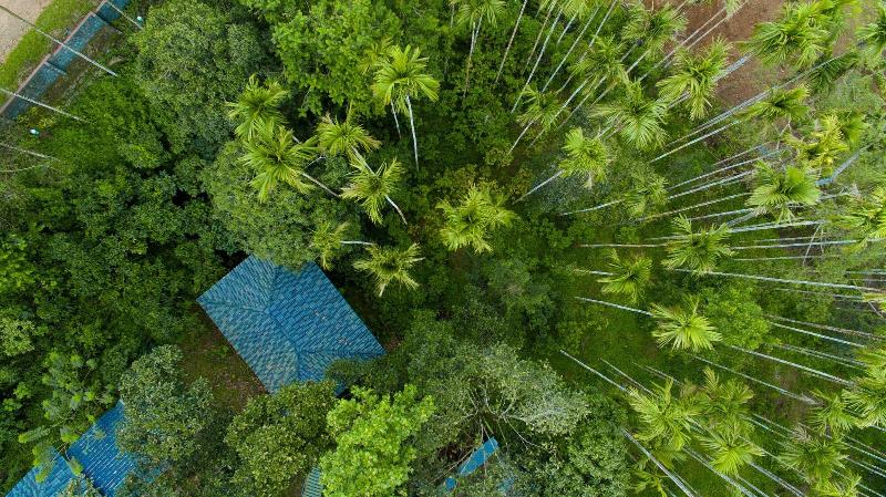 Wayanad Ranches Resorts — general view