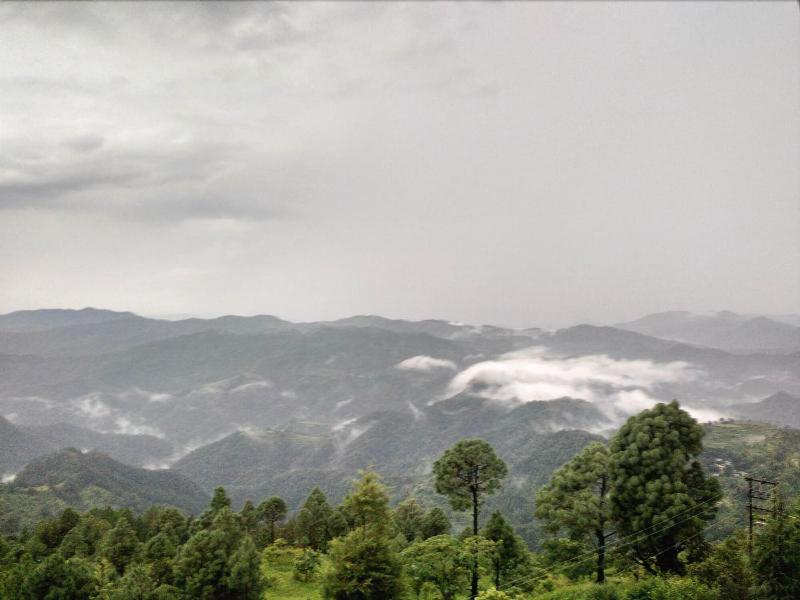 Kasang Regency Hill Resort image