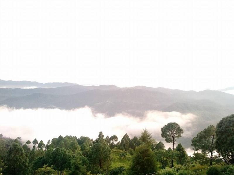 Kasang Regency Hill Resort image