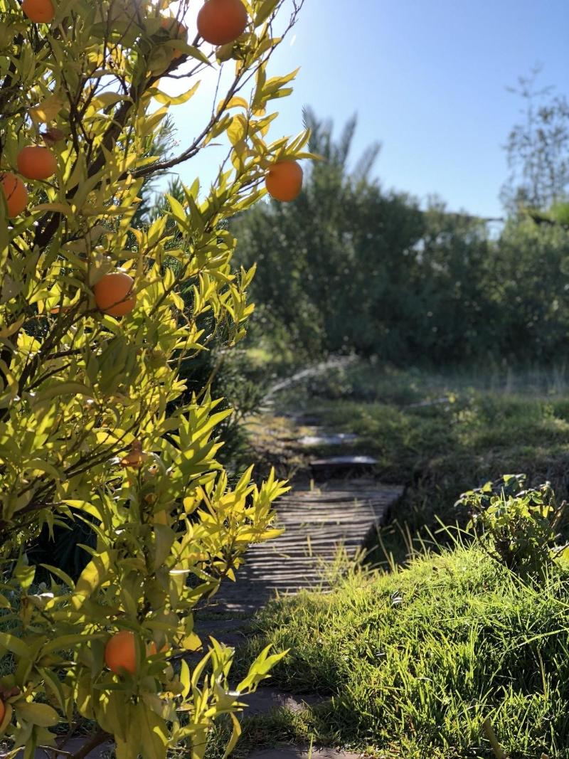 Les Jardins De Taja image