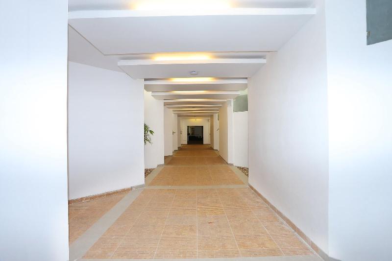 Capital O 29855 Island Inn image