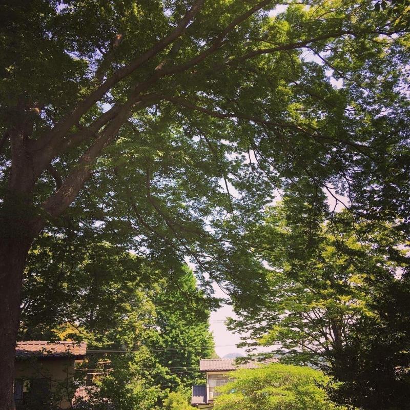 Suminoe — photo 2