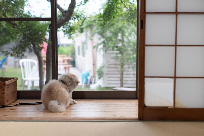 Cafe&guest House Kaede - Hostel — main photo