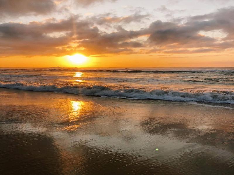 Bare Feet Retreat image