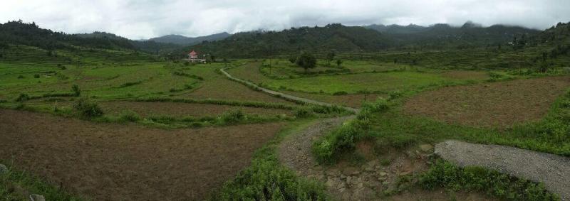 Daankudi Heritage House — photo 3