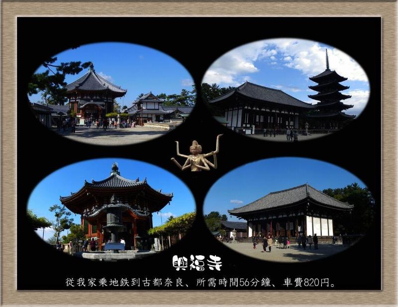 Nakagawa's Cozy House — photo 4