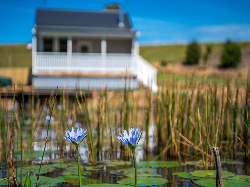 Forget Me Not Farm Cottages image