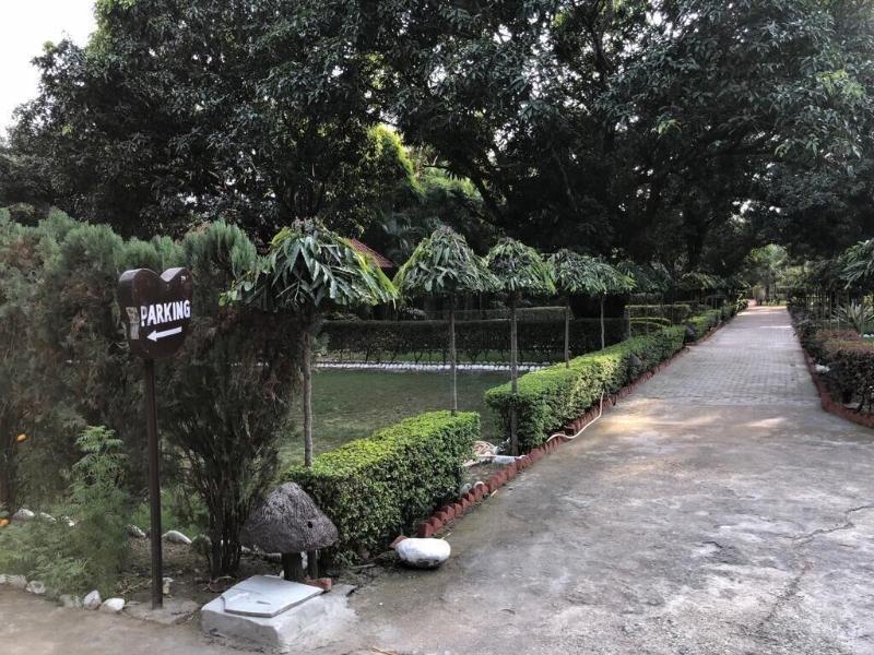 Jungle Leela Resort 2