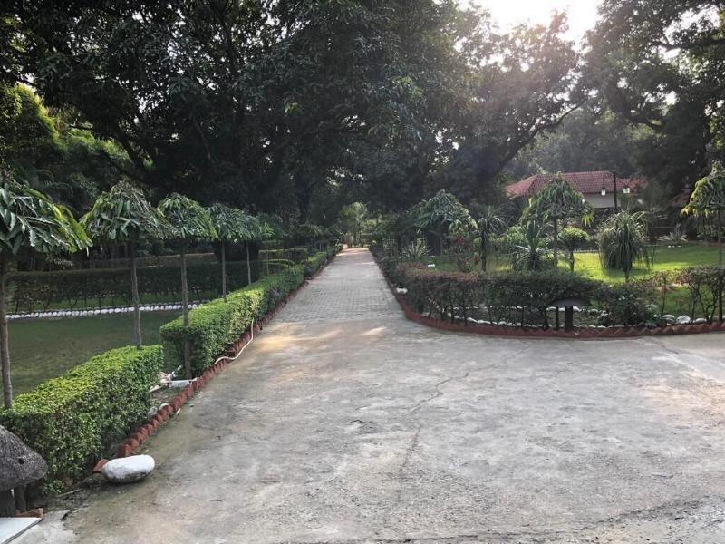 Jungle Leela Resort — photo 23