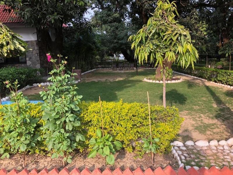 Jungle Leela Resort — photo 15