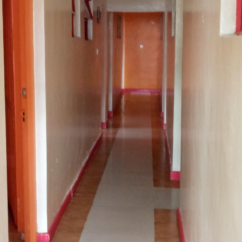Comfy Night Guest House image