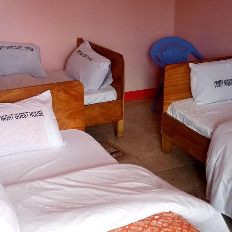 Comfy Night Guest House image