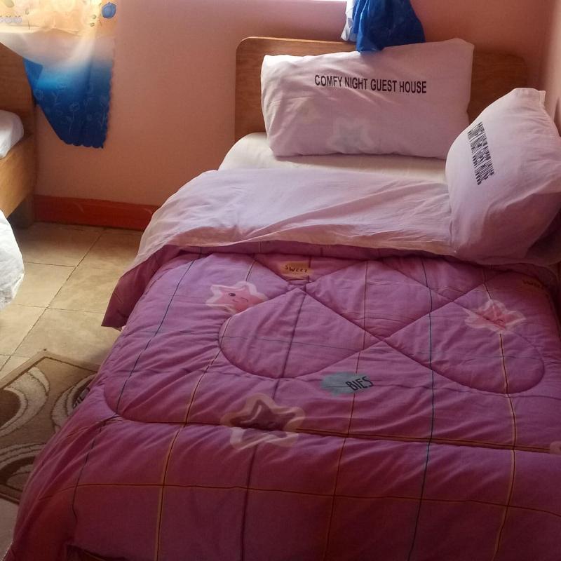 Comfy Night Guest House image