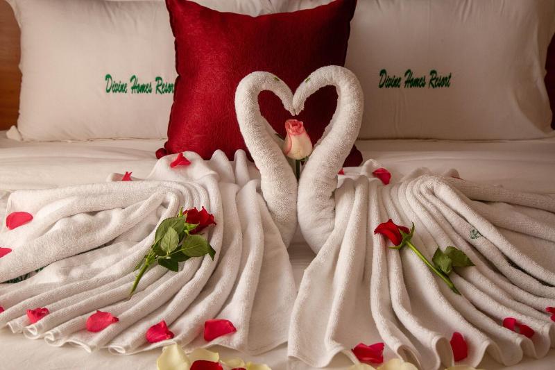 Divine Homes Resort image