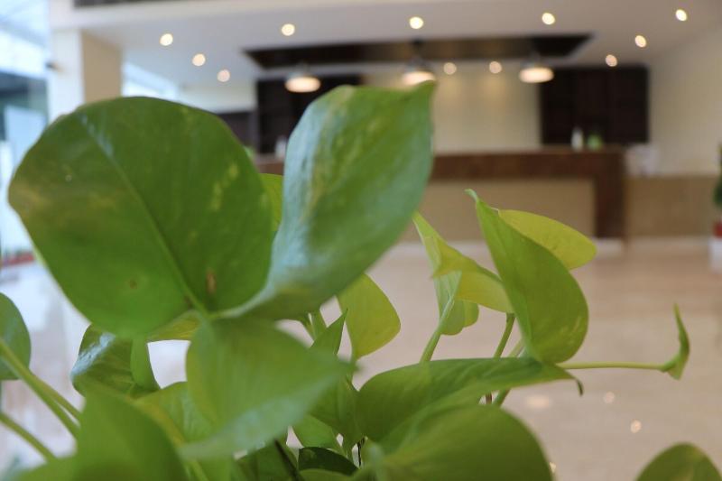 Gadiraju Palace Convention Centre & Hotel image