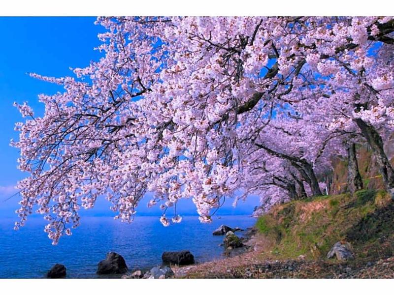 Kishida House image