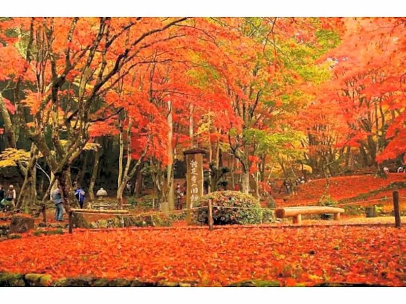 Kishida House image