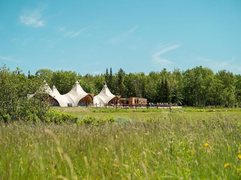 Under Canvas Acadia