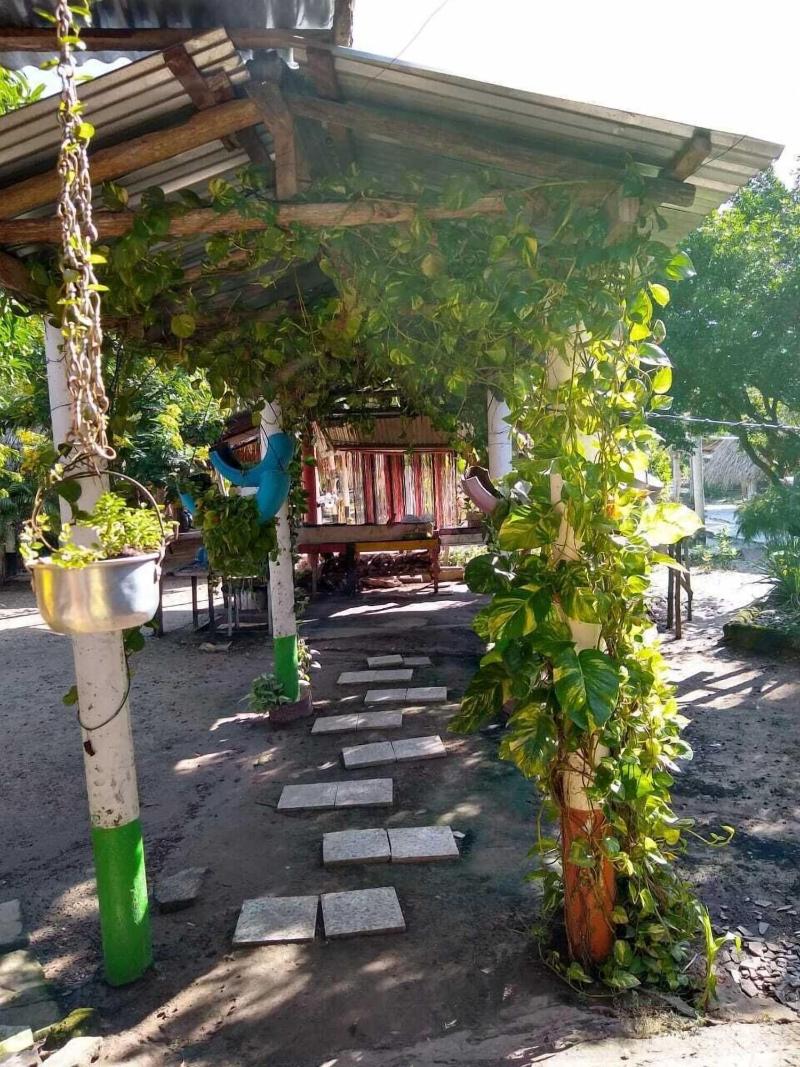 Hostal Villa Juliana — photo 2