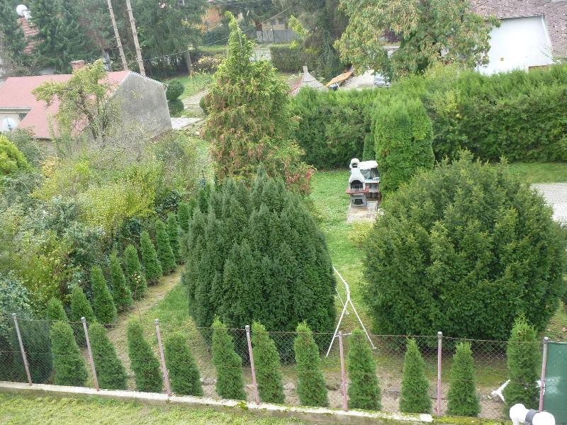 Vadã¡sztanya Apartmanok image