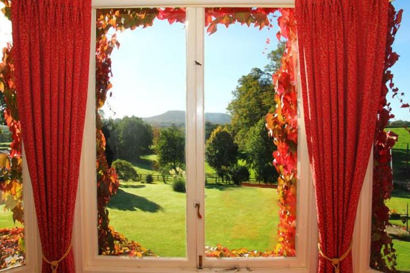 Benhall Farm Holidays image